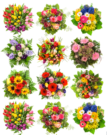 12 Month Flower Delivery