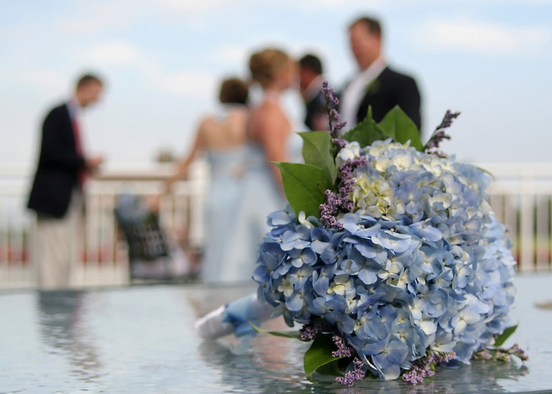 Hydrangea Wedding Collection